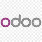 Enterprise Odoo Development Program